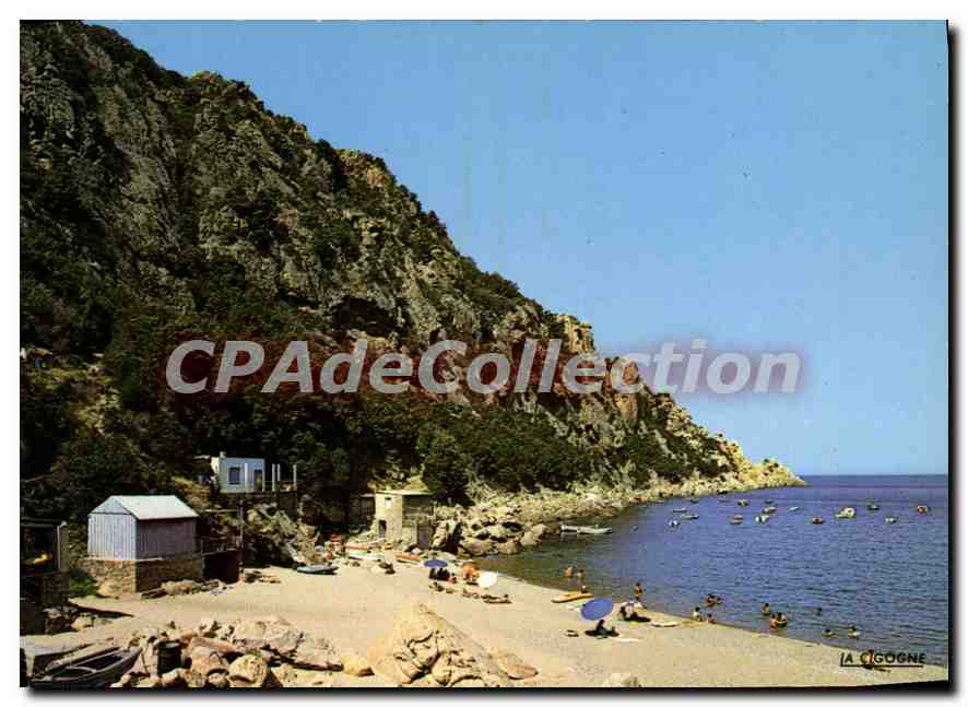 CPSM Plage De Ficajola Golfe De Porto Corse