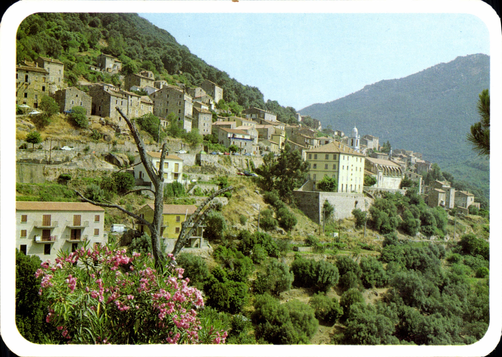 CPSM Olmeto Vue Generale 