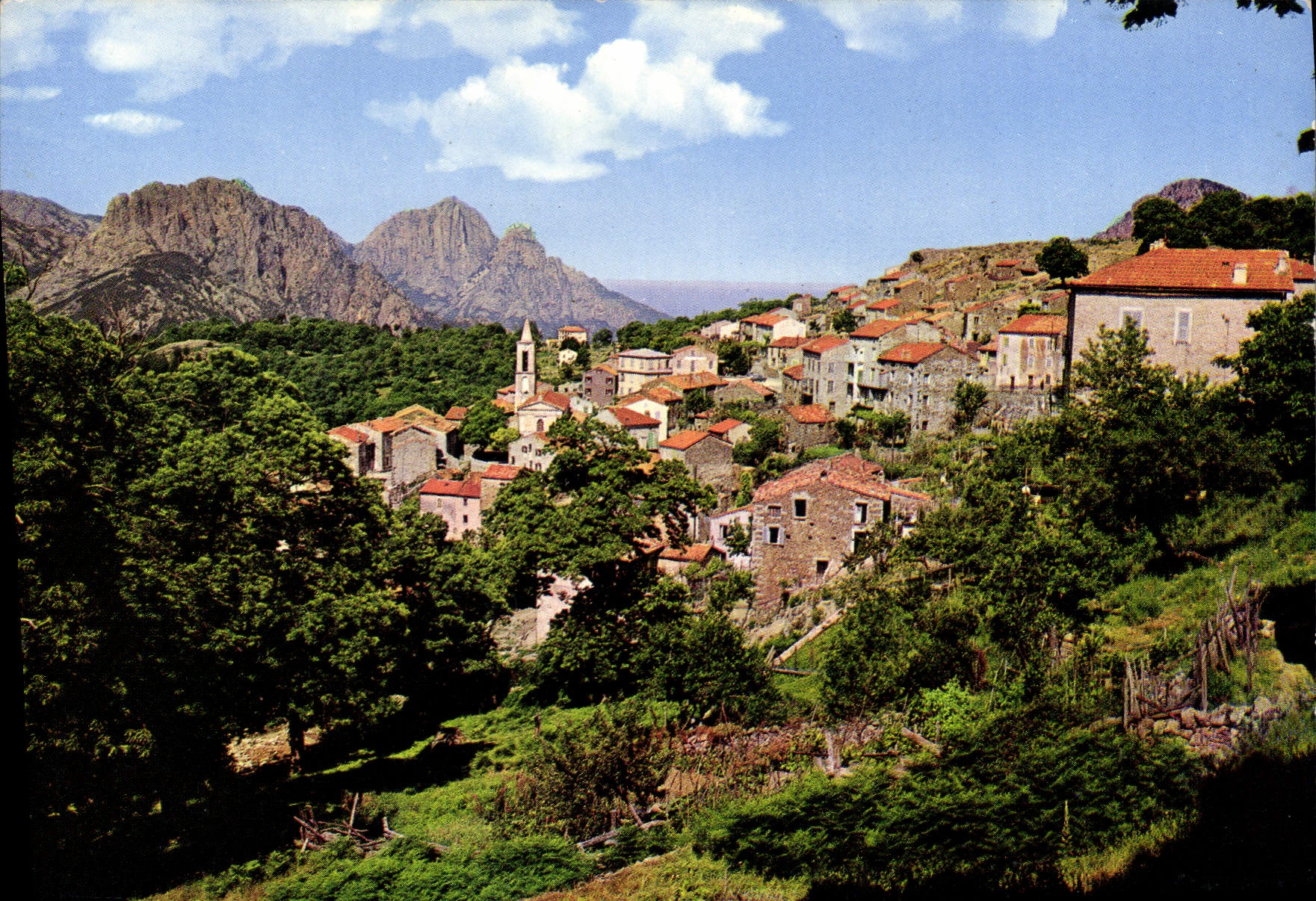 CPSM Evisa Vue Generale Du Village