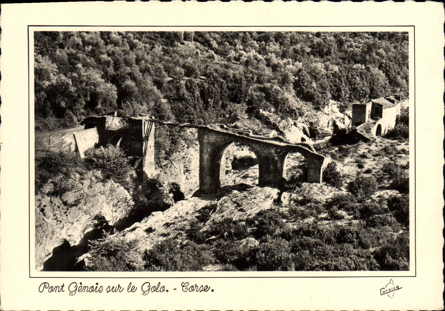 CPSM La Corse Ile De Beaute Pont Genois Sur Le Golo