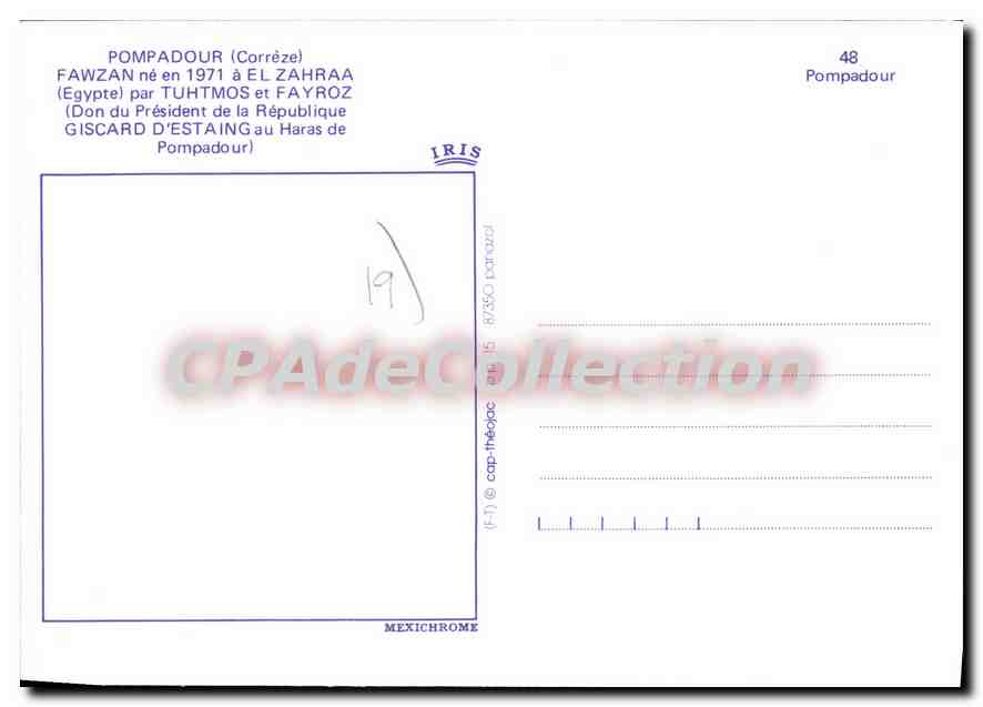 CPSM Pompadour Fawzan Ne El Zahraa Tuhtmos et Fayroz Giscard d'estaing haras — Verso