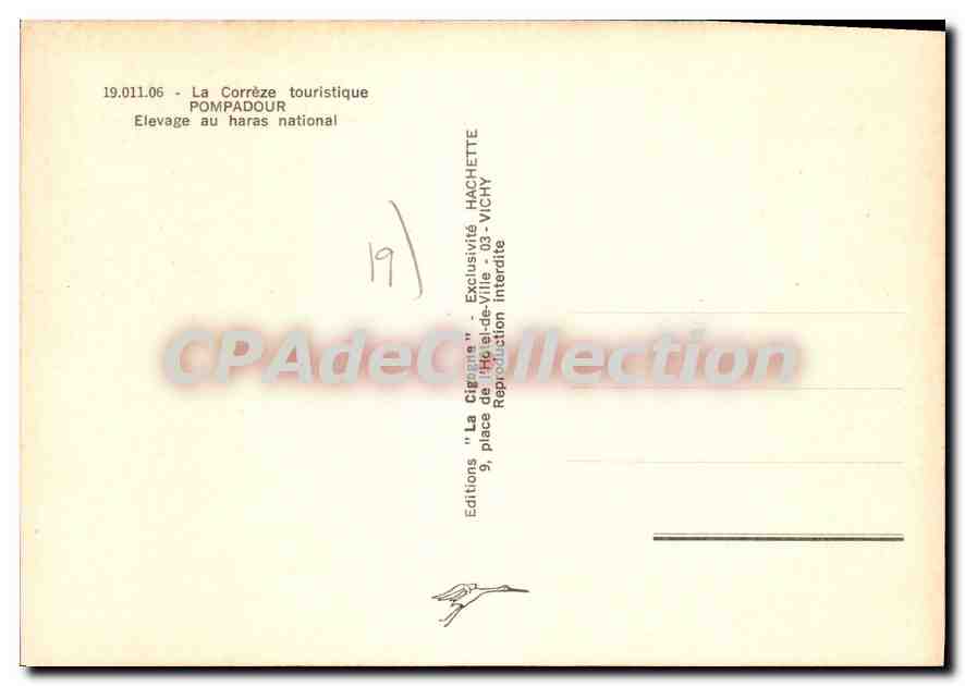 CPSM Pompadour Elevage Au Haras National — Verso
