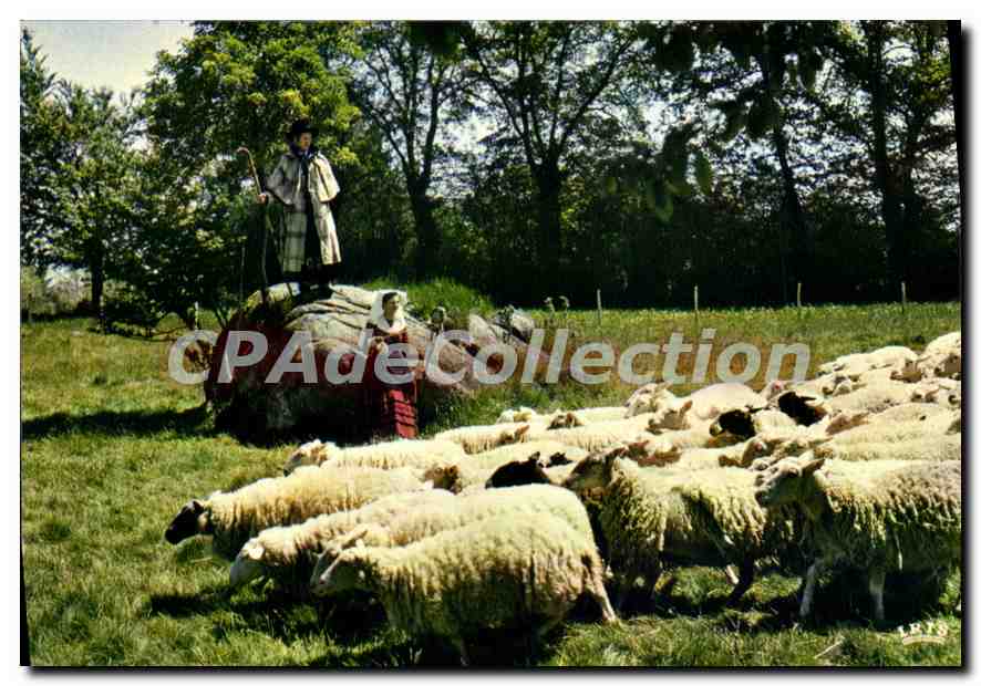 CPSM Ussel Les Compagnons De La Joie Au Village bergère