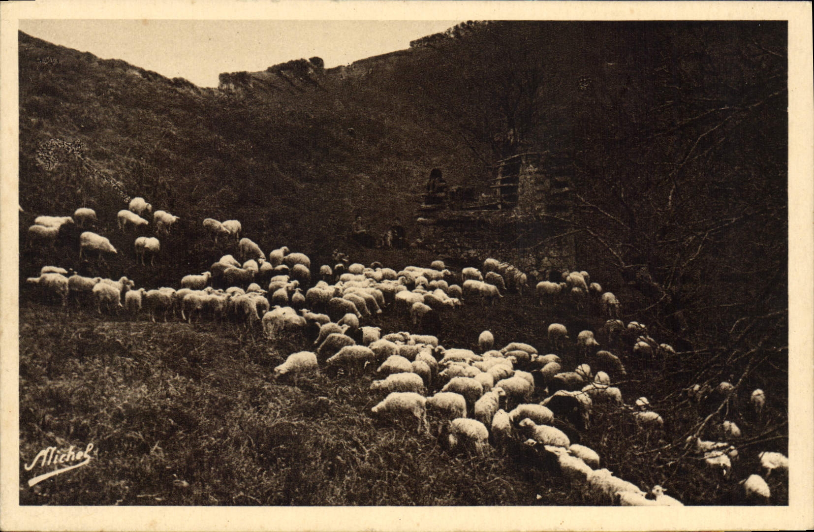 Moutons dans les Bois — La Corrèze Touristique — Édition d'Art Michel Beandel