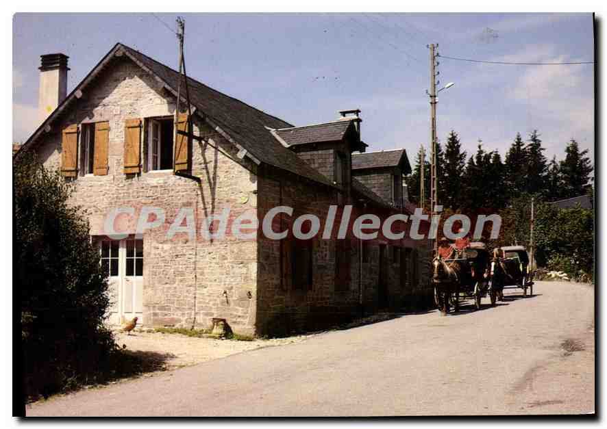 Bonnefond (Corrèze) — Le gîte et les calèches — CPAdeCollection n°19/468