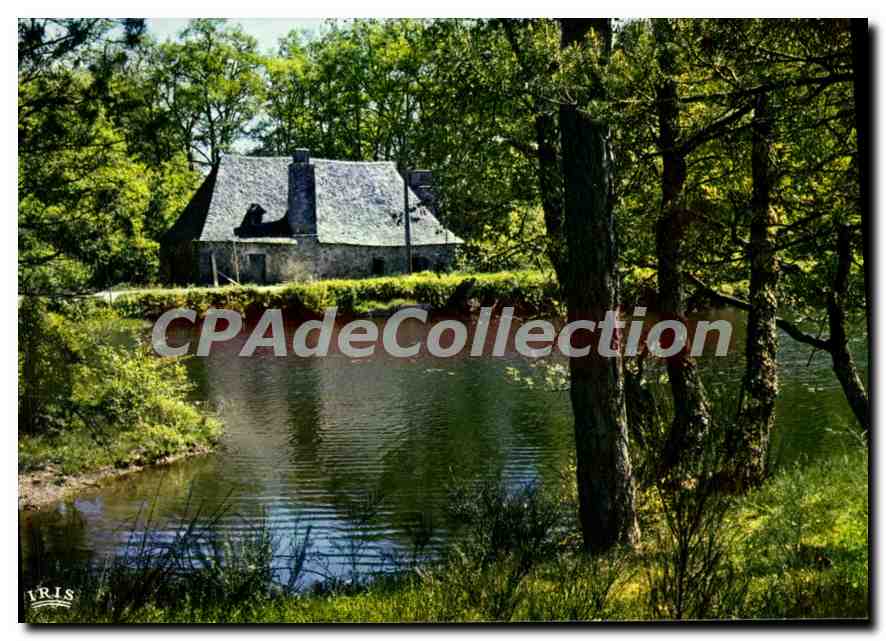 CPSM Saint Privat L'Etang De Malesse