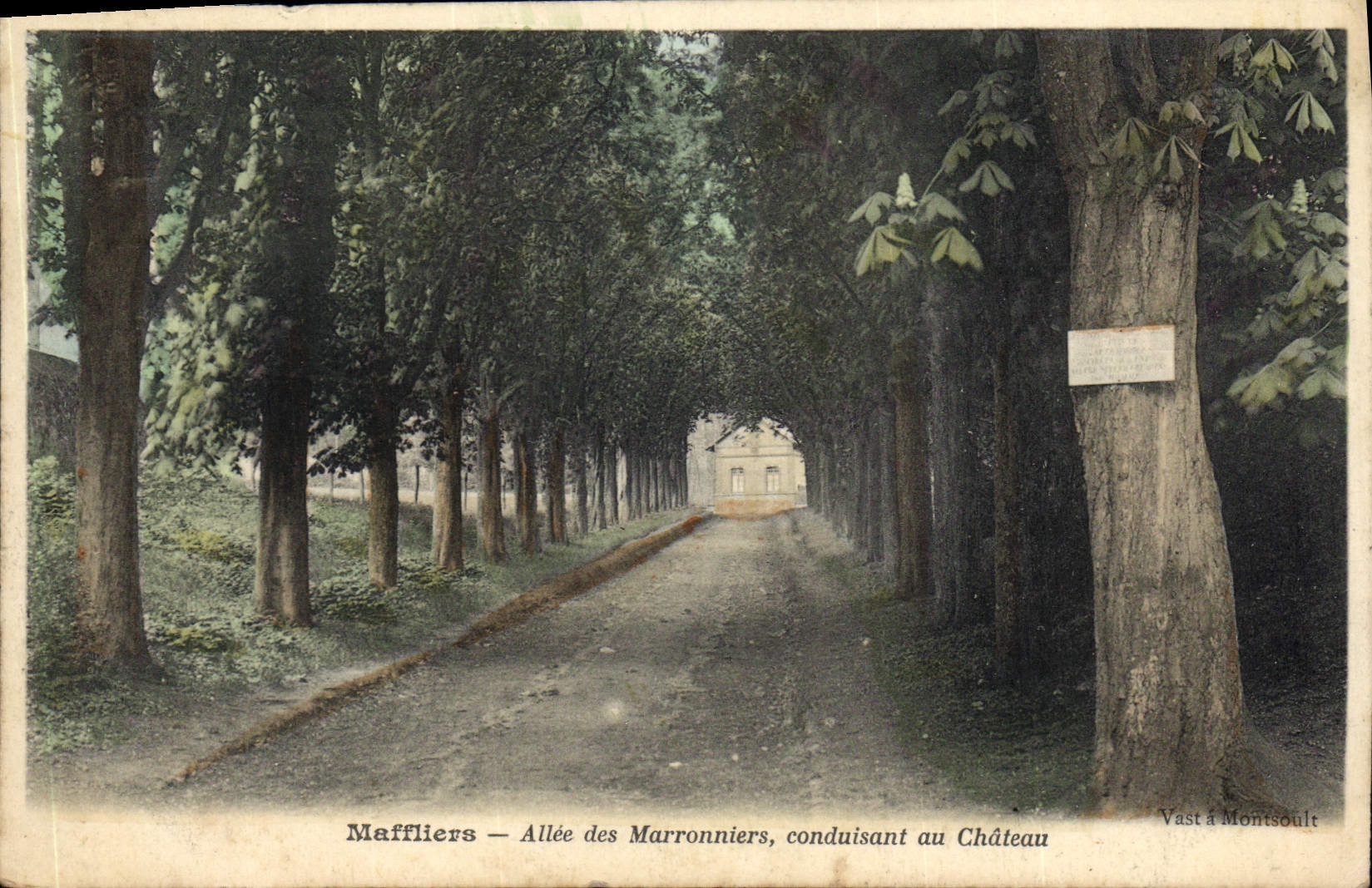 CPA Maffliers Allee Des Marronniers Conduisant Au Chateau