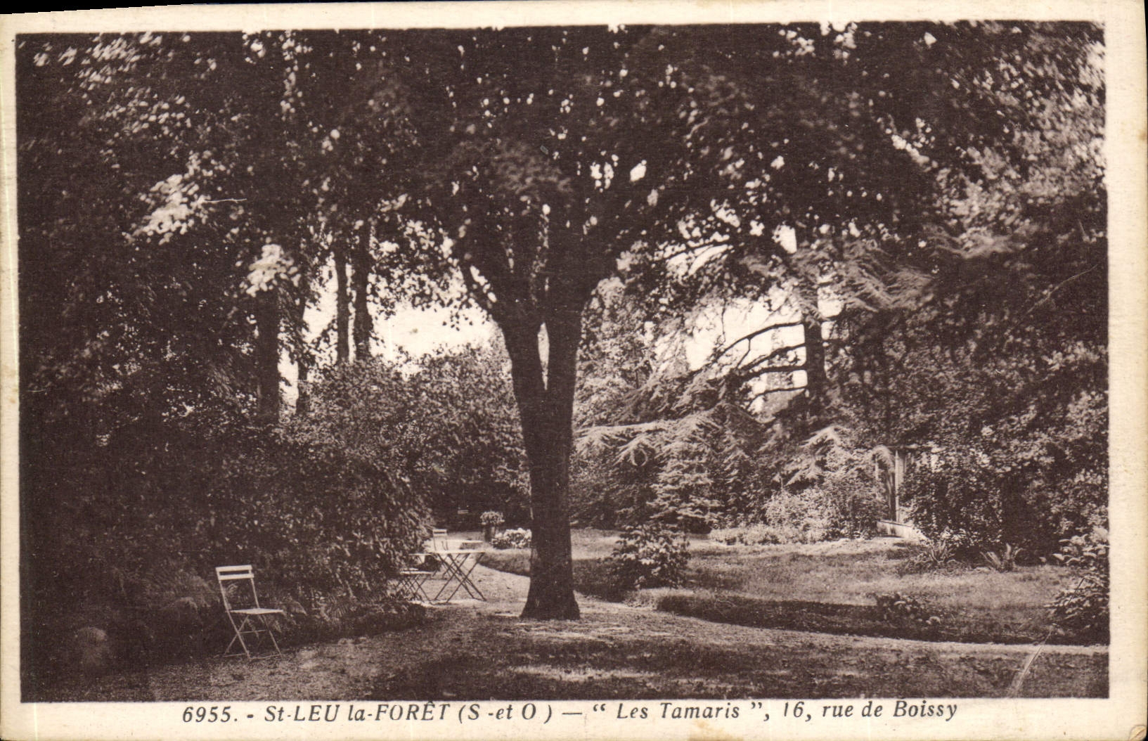St-LEU-la-FORÊT (S-et O) — 'Les Tamaris', 16, rue de Boissy