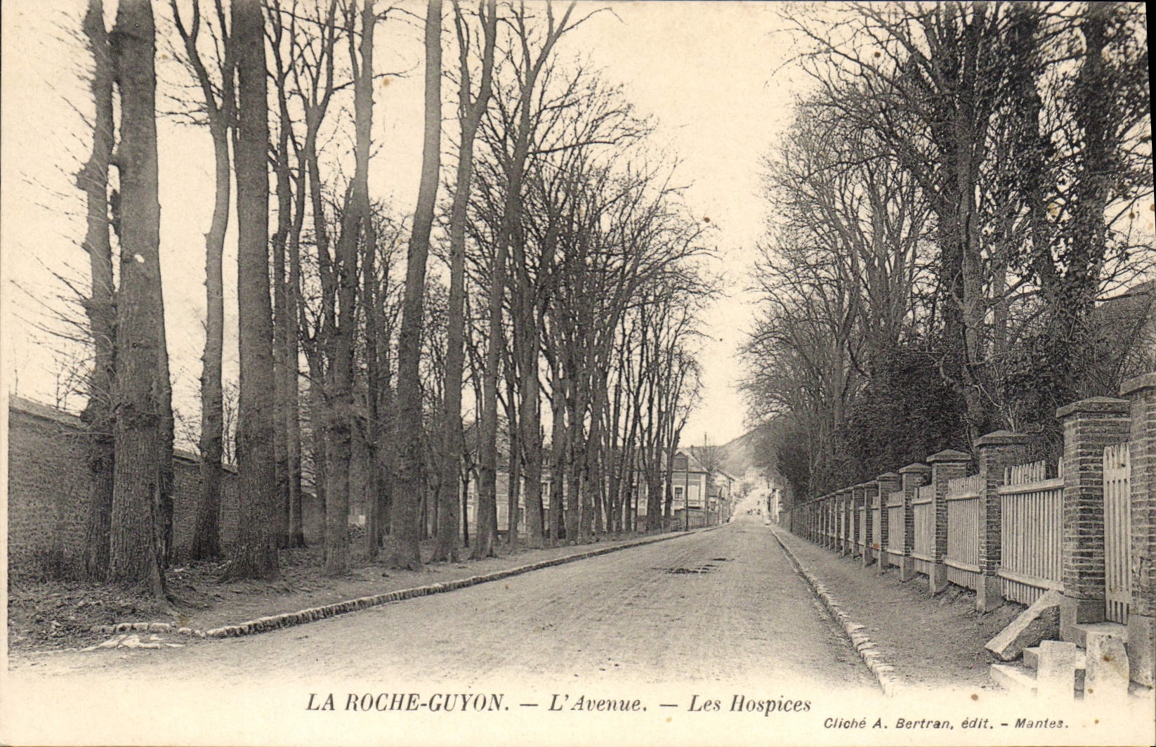 CPA La Roche Guyon L'Avenue Les Hospices
