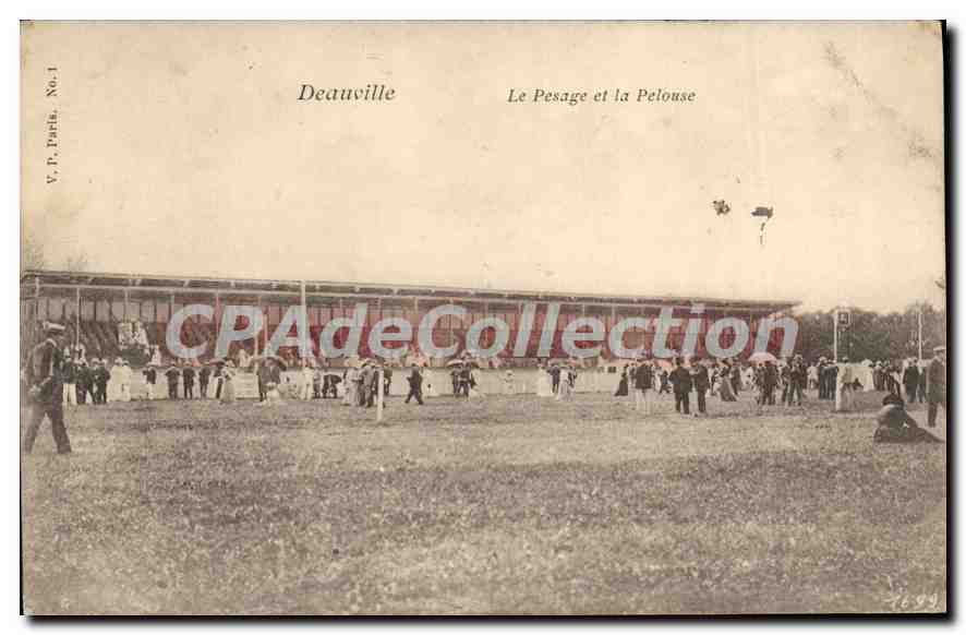 CPA Deauville Le Pesage Et La Pelouse