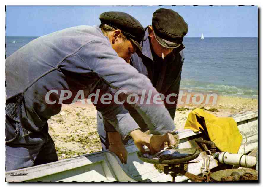 CPSM Lion Sur Mer Retour De Peche La Vente Du Poisson