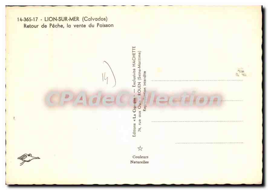 CPSM Lion Sur Mer Retour De Peche La Vente Du Poisson — Rückseite