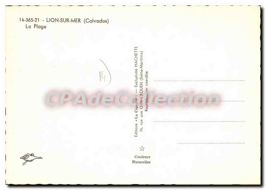 CPSM Lion Sur Mer La Plage — Rückseite