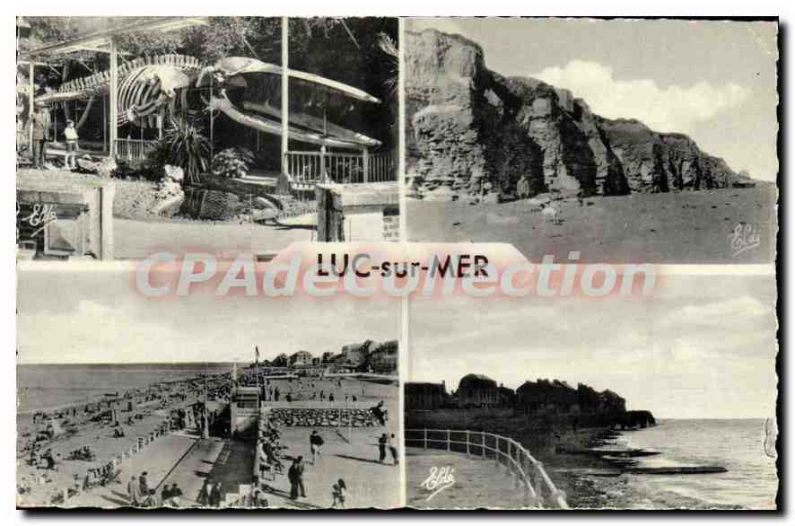 Luc-sur-Mer — vue de la plage, falaises et squelette de baleine — Éditeur : Éd. de Luc-sur-Mer
