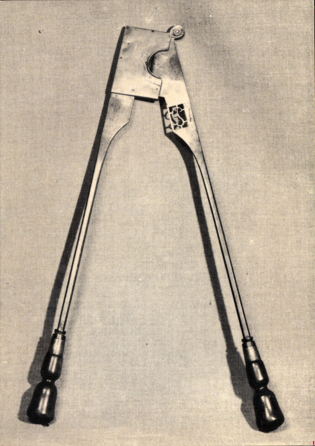 Coupe-queue de cheval — outil de maréchal ferrand — Musée de la Bourrellerie et de l'Outil, Pont-l'Évêque
