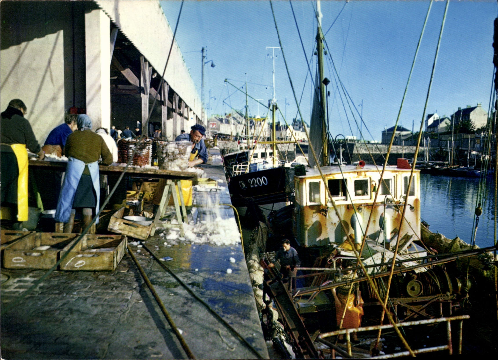 Port-en-Bessin — Fischsortierung — Editions 'La Griffe' n°14.515.33