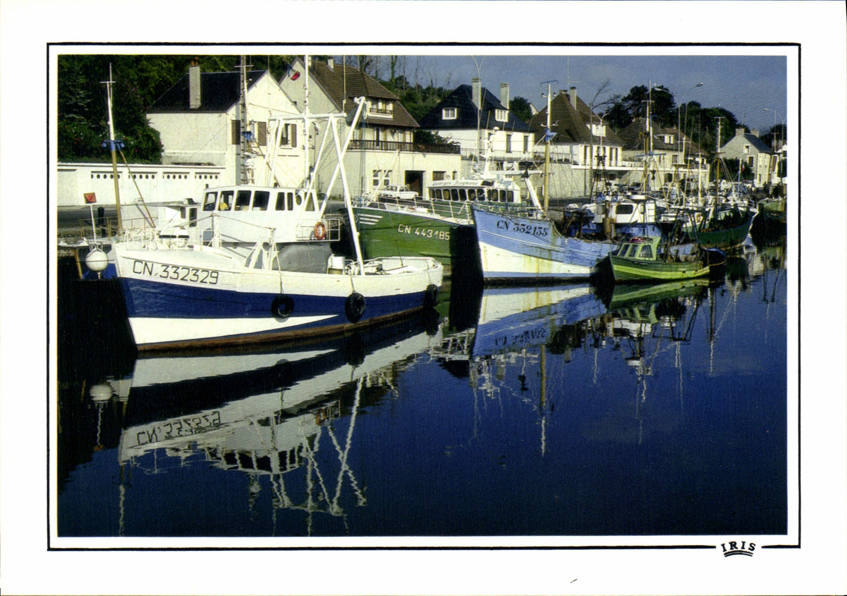 Port-en-Bessin — Cap Théouac — Iris