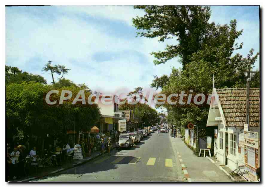 CPSM Ronce Les Bains Allee Gabrielle