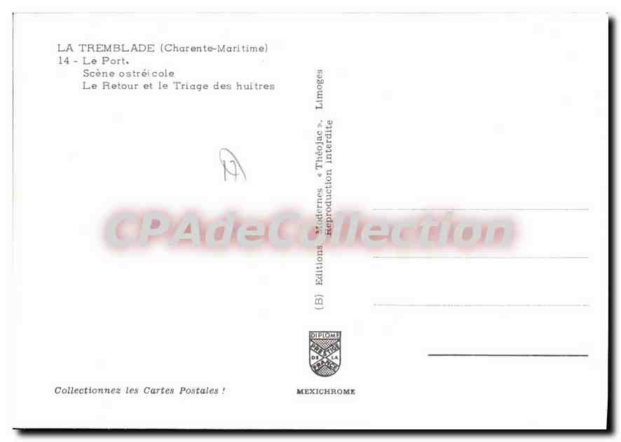 CPSM La Tremblade Le Port Scene Ostreicole triage des huitres — Back
