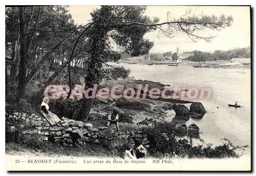 CPA Benodet Vue Prise Du Bois De Sapins