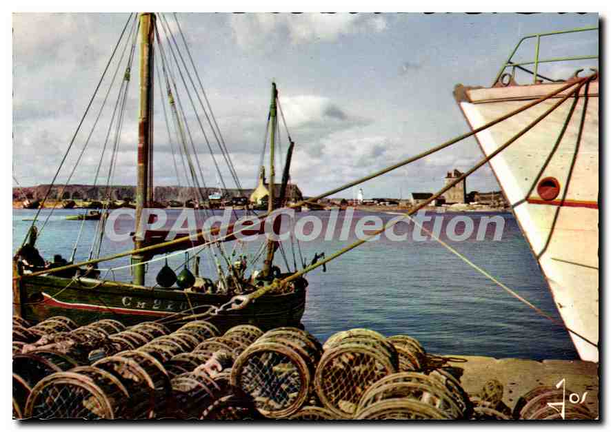 CPSM Camaret Casiers A Langoustes Au Port