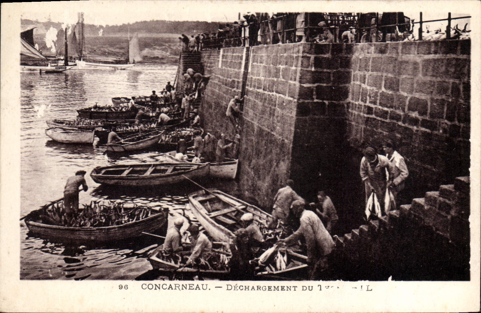 CPA Concarneau Dechargement du thonnier