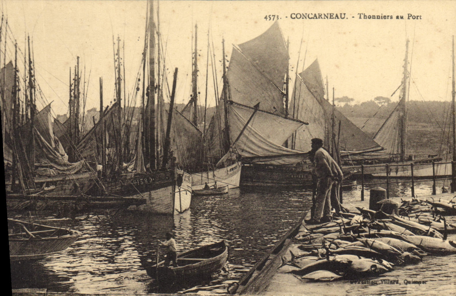 CPA Concarneau Thonniers Au Port