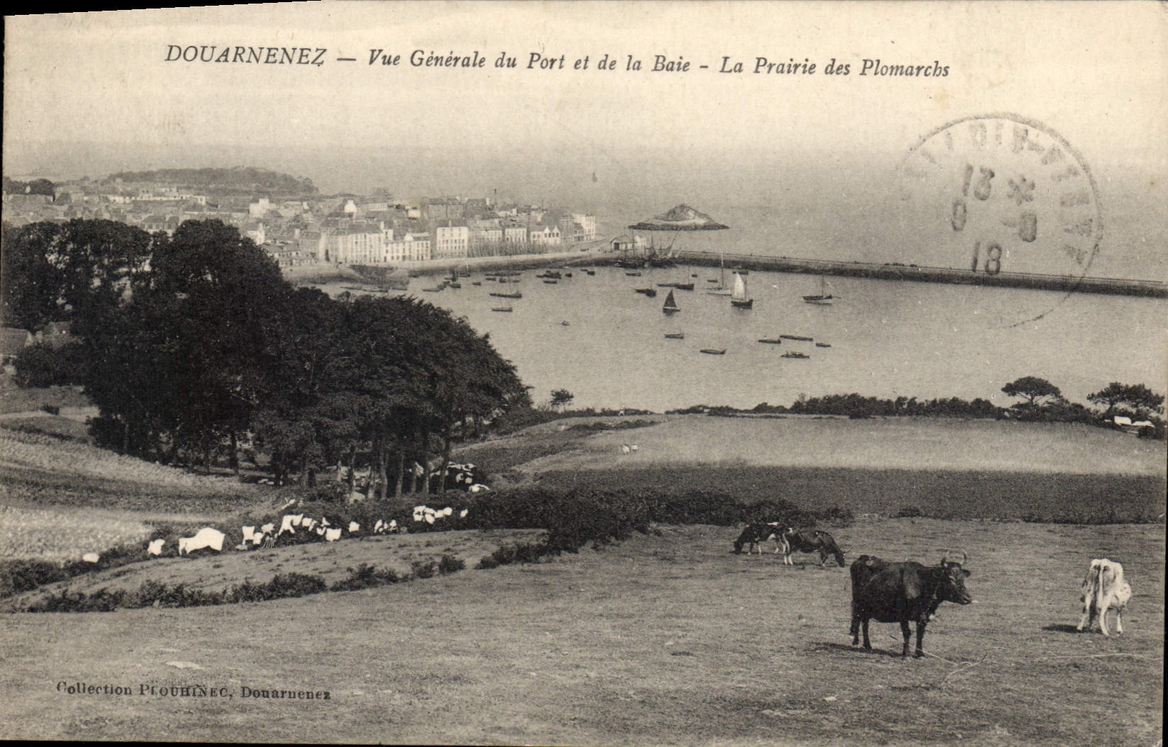 CPA Douarnenez Vue Generale Du Port Et De La Baie prairie des Plomarchs