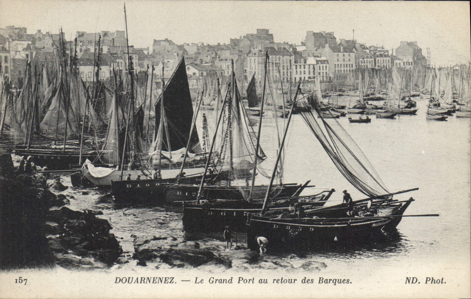 CPA Douarnenez Le Grand Port au Retour Des Barques