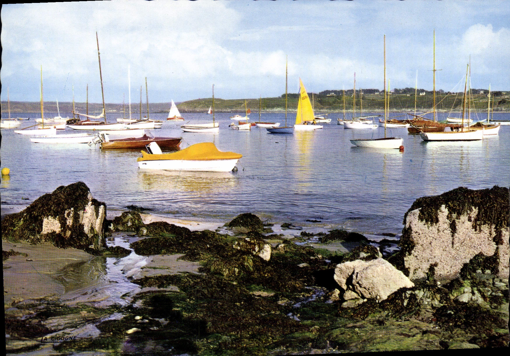 CPSM Locquirec La flotille des plaisanciers