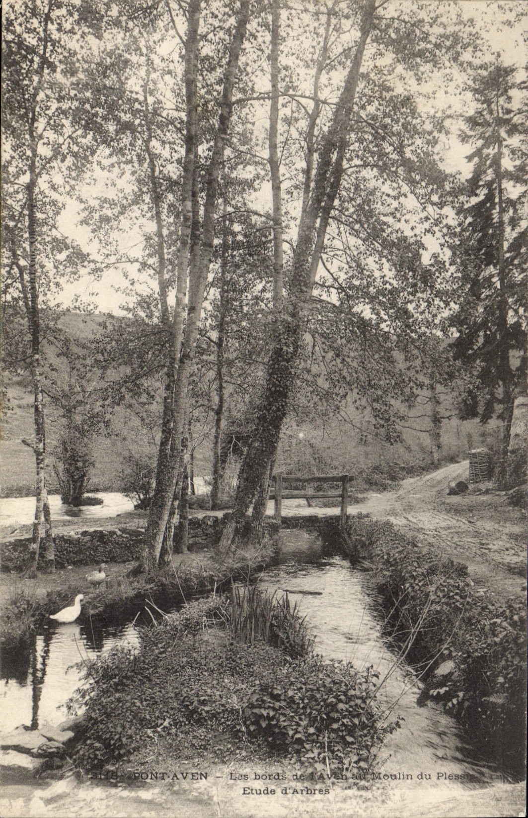 CPA Pont Aven Les Bord De Aven moulin du plessis