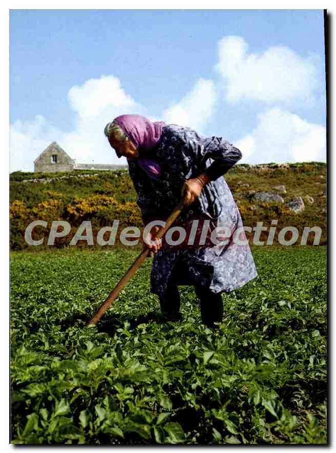 CPSM Ile De Batz Ilienne Aux Travaux Des Champs