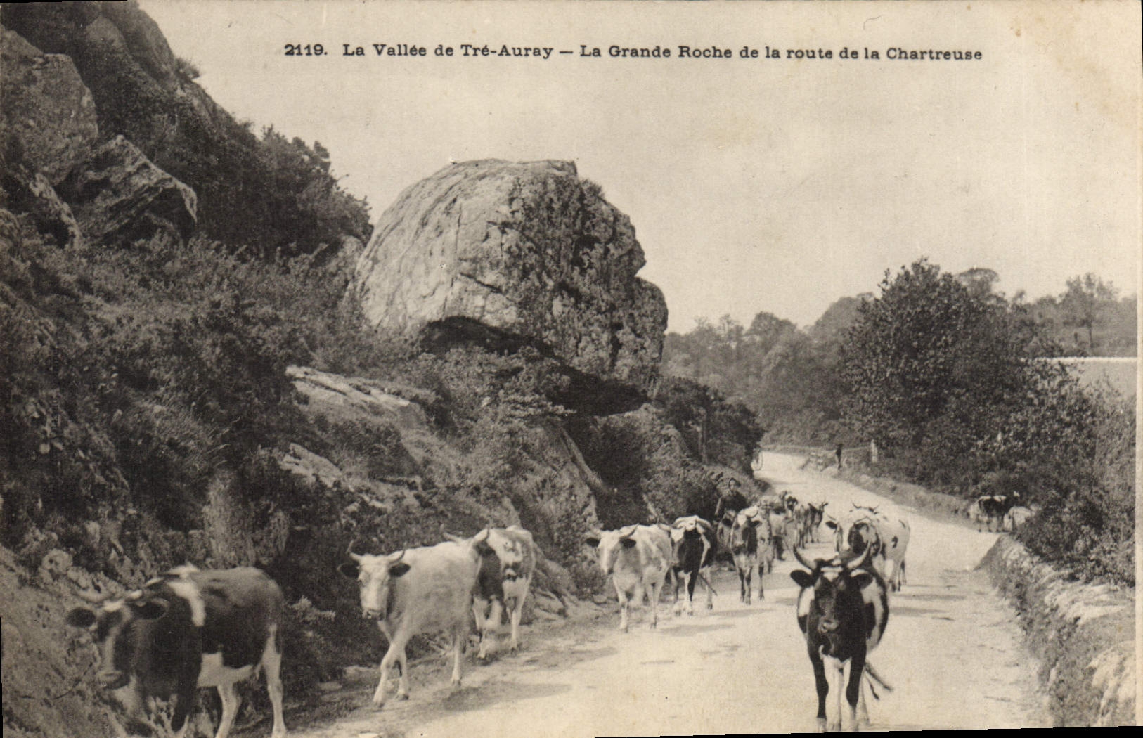 CPA La Vallee De Tre Auray La Grande Roche De La Route De La Chartreuse