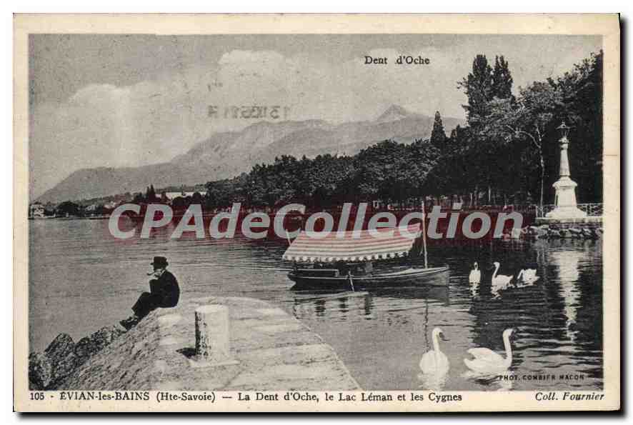 ÉVIAN-les-BAINS (Hte-Savoie) — La Dent d'Oche, le Lac Léman et les Cygnes — Phot. Combifr Macon