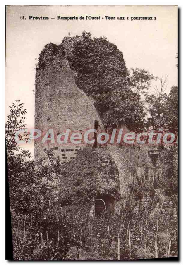Provins — Remparts de l'Ouest — Tour aux « pourceaux »