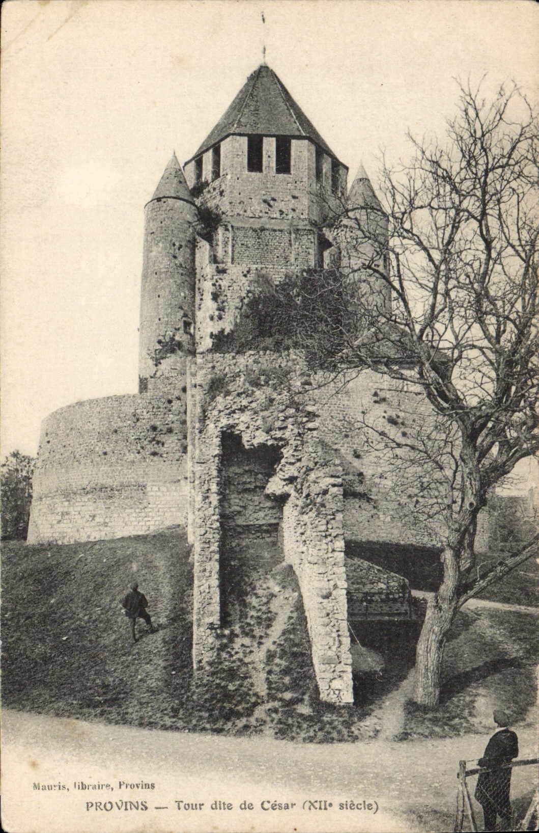 Provins — Tour dite de César (XIIe siècle)
