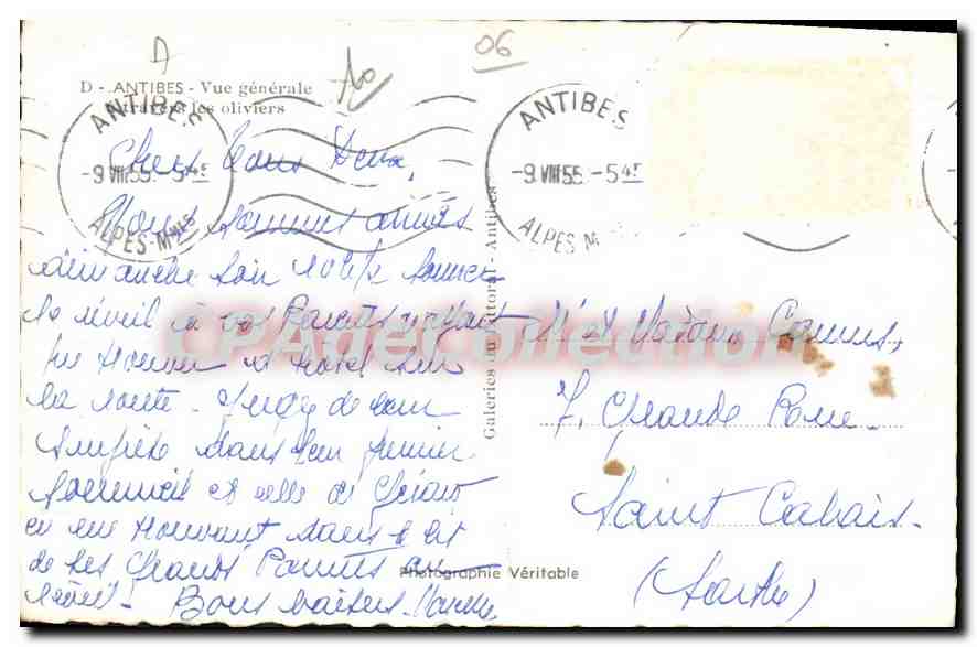 CPA Antibes Vue Generale Les Oliviers — Back