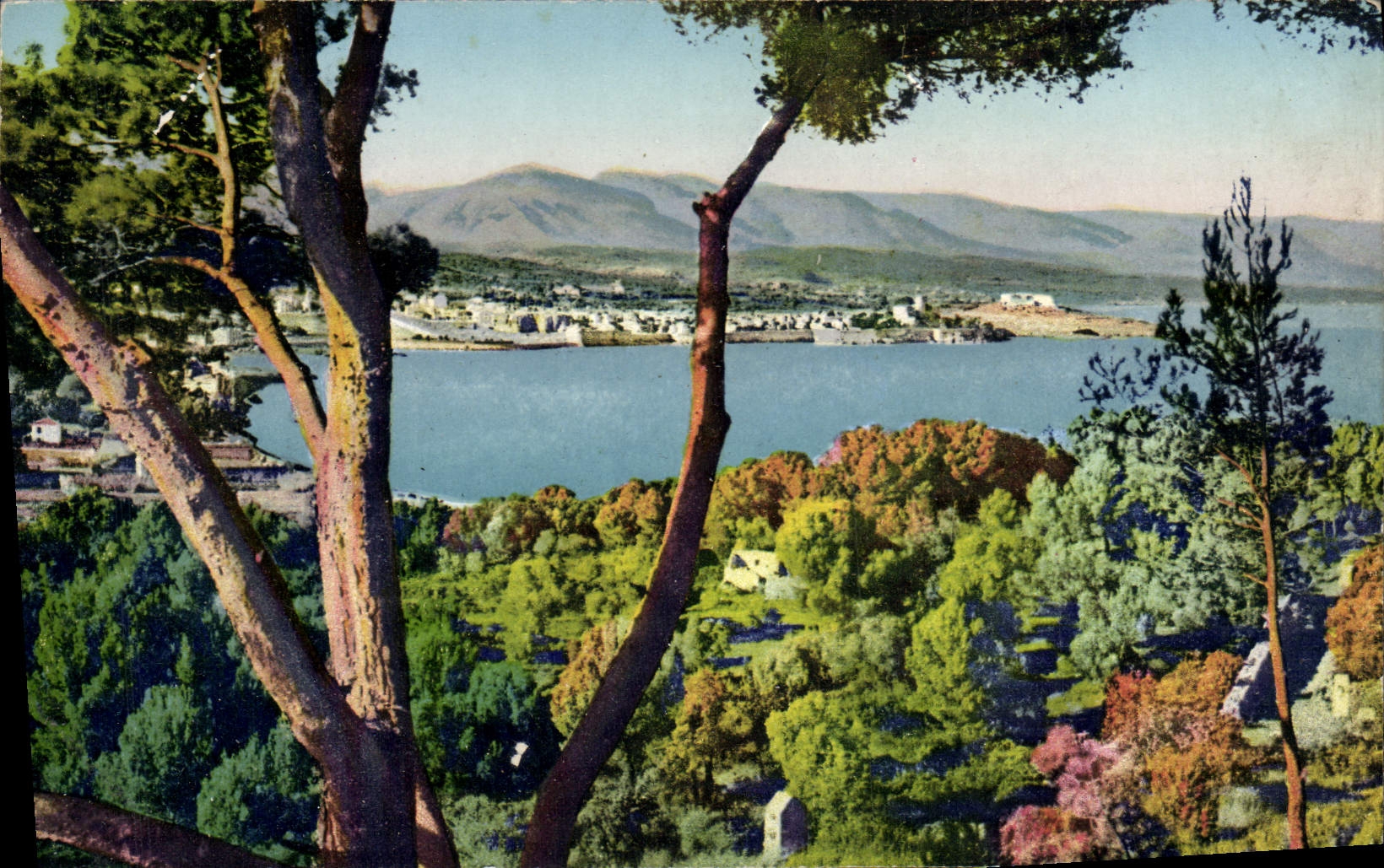 Antibes — Panorama sur la Ville, pris des Pins du Cap d'Antibes — Lévy & Neurdein, n°7