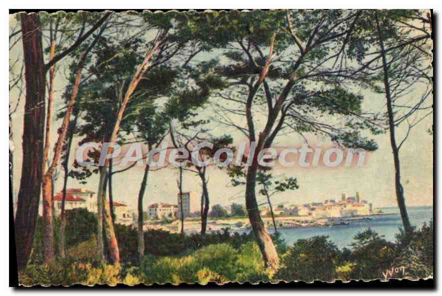 CPA Antibes La Ville Vue A Travers Les Pins De La Corniche