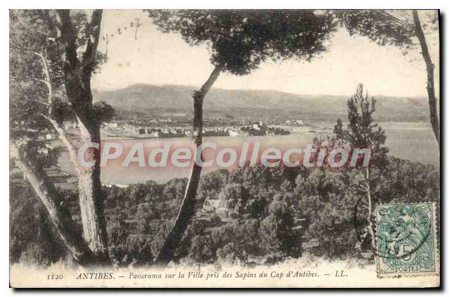 Antibes — Panorama sur la Ville pris des Sapins du Cap d'Antibes — LL. — n° 1120