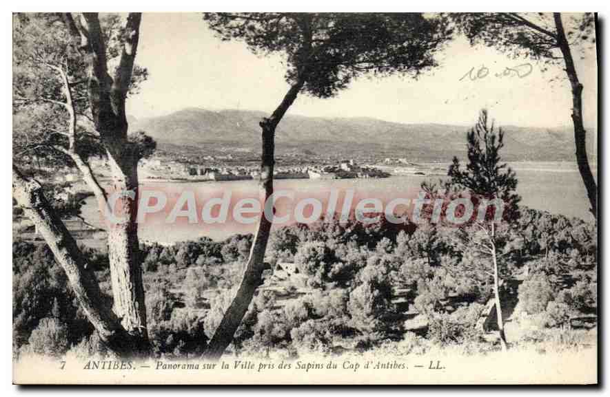 Antibes — Panorama sur la Ville pris des Sapins du Cap d'Antibes — LL. n°7
