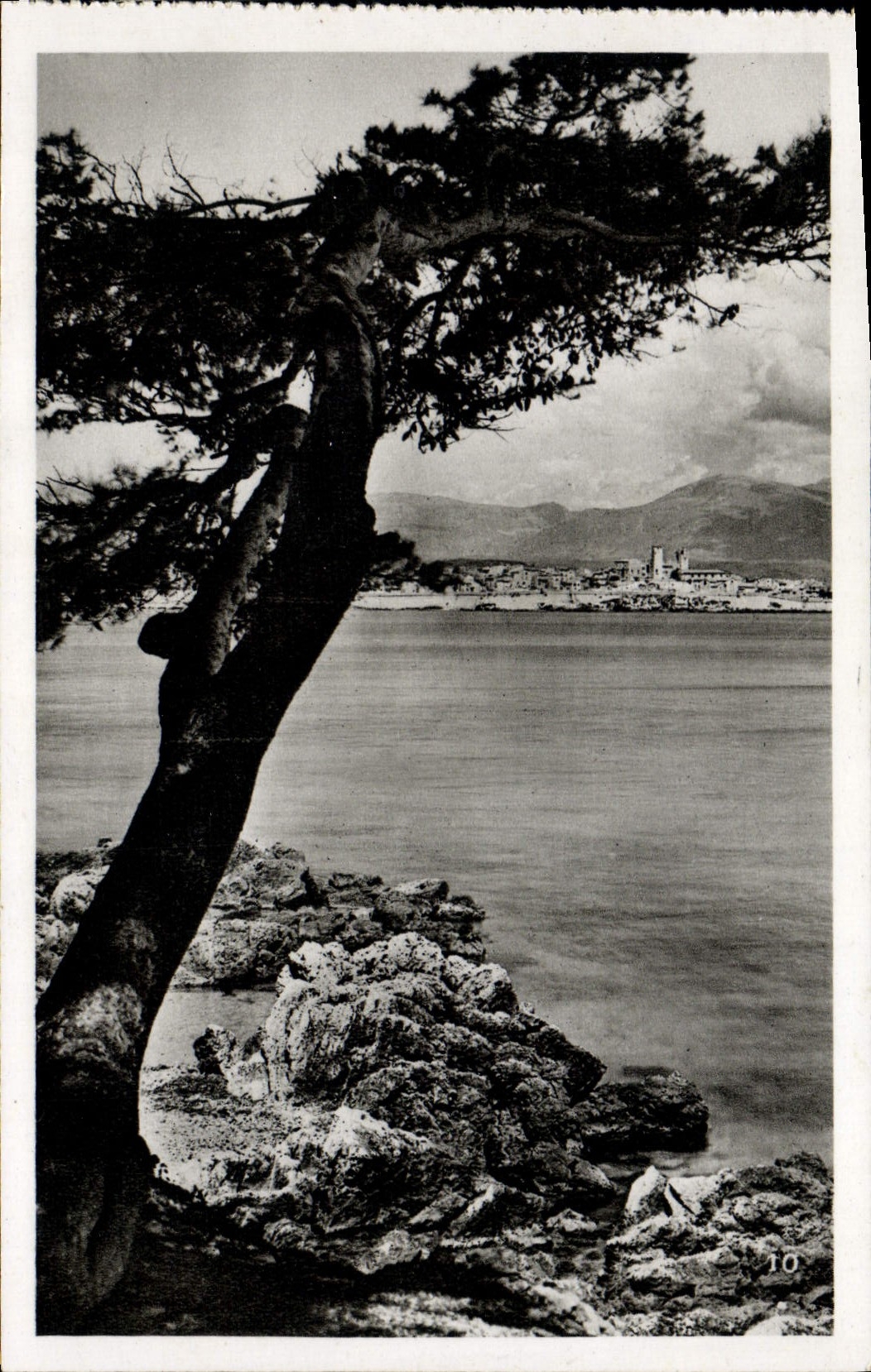 CPA Antibes Vue Prise Entre Les Pins