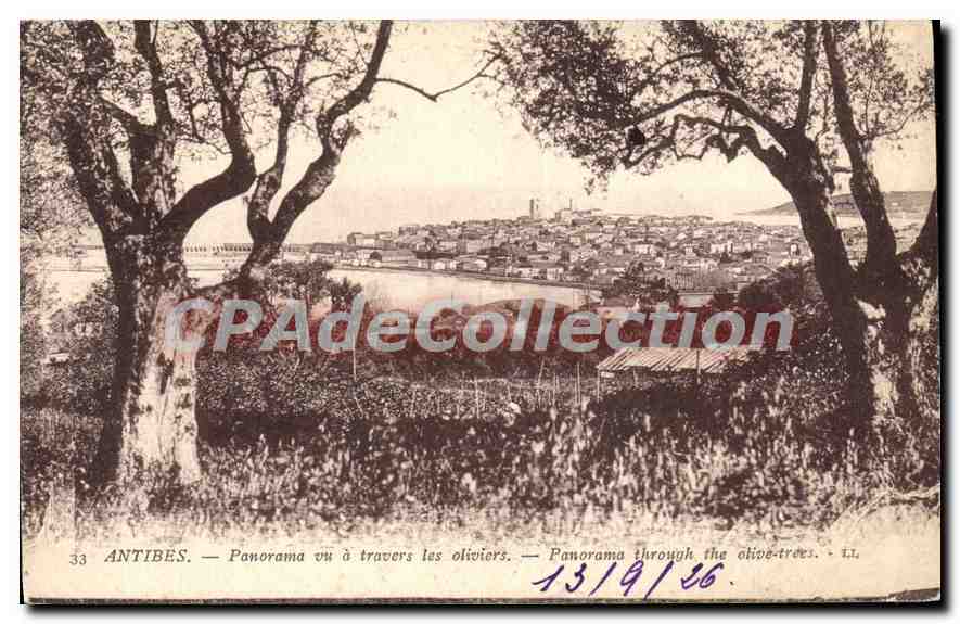 CPA Antibes Panorama Vu A Travers Les Oliviers