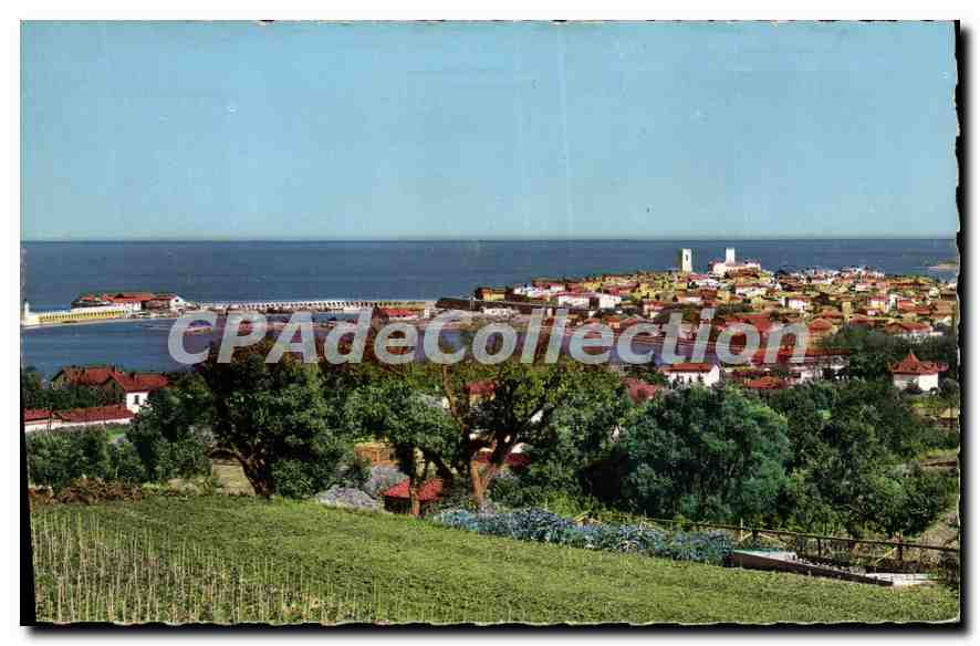 CPA Antibes Vue Sur La Ville Et Le Port