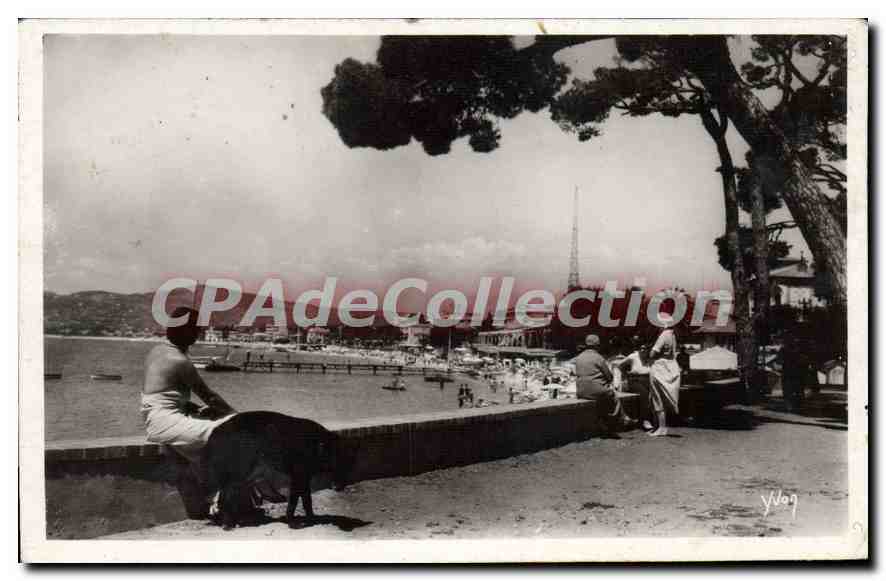 Juan-les-Pins (Alpes-Mar.) — La Plage vue de la pinède — Les Éditions d'Art