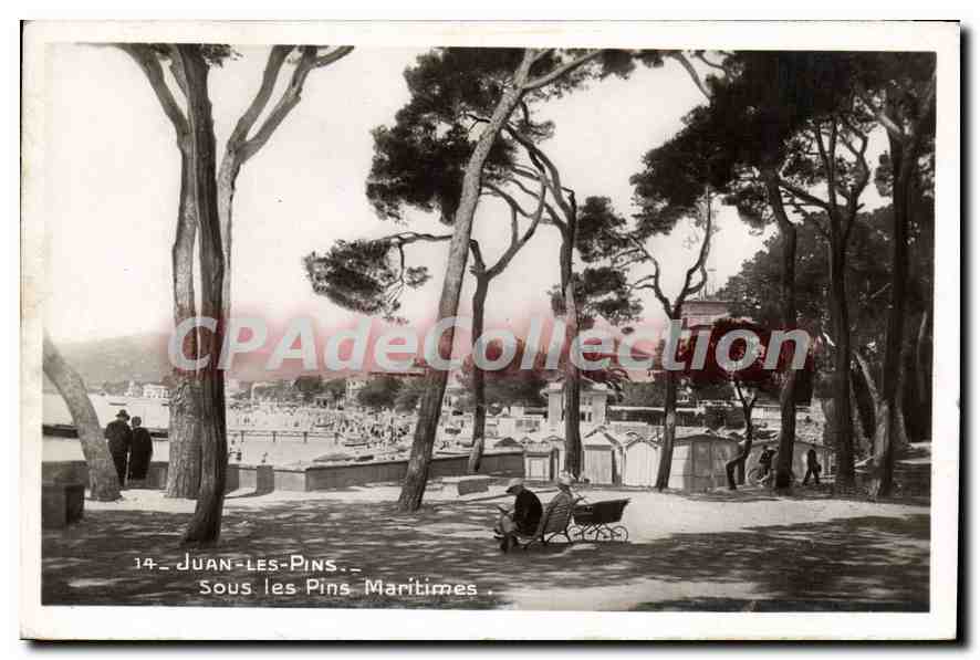 CPA Juan Les Pins Sous Les Pins Maritimes