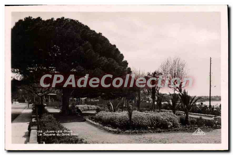 Juan-les-Pins — Le Square du Gros Pins — C.A.P. Strasbourg