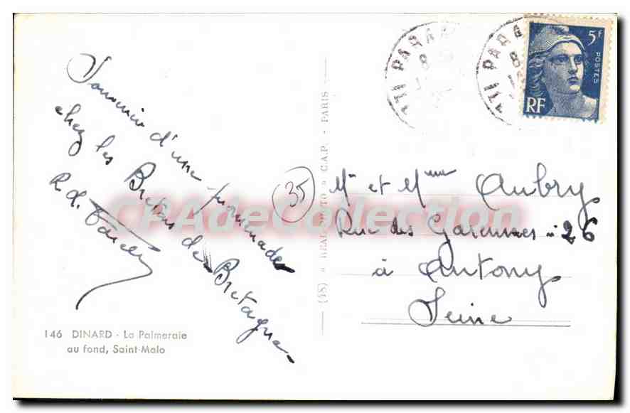 Dinard — La Palmeraie — éditeur CAP, n° 146 — Verso
