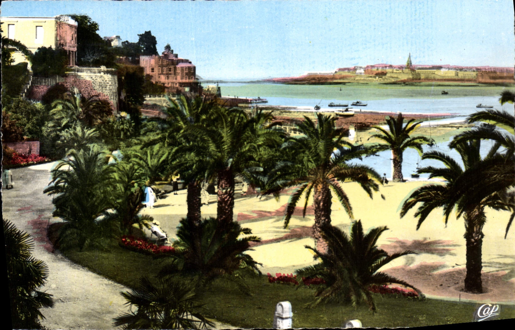 Dinard - Côte d'Émeraude - La Palmeraie. Au fond, Saint-Malo