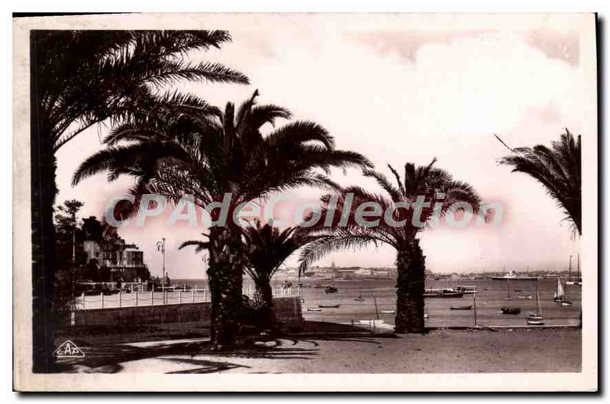 Dinard - Les Palmiers — Au fond St-Malo à droite, le Brittany — éditeur C.A.P. Strasbourg, n°127